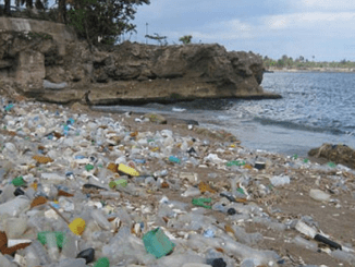 plastic trash California